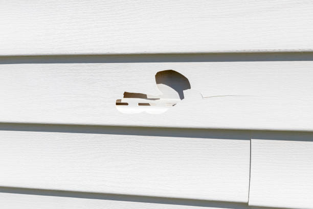 Best Hoarding Cleanup  in Alturas, CA